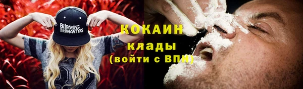 индика Алексин