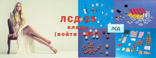 индика Алексин