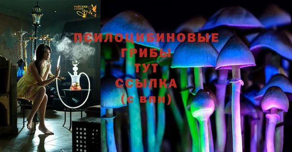 индика Алексин