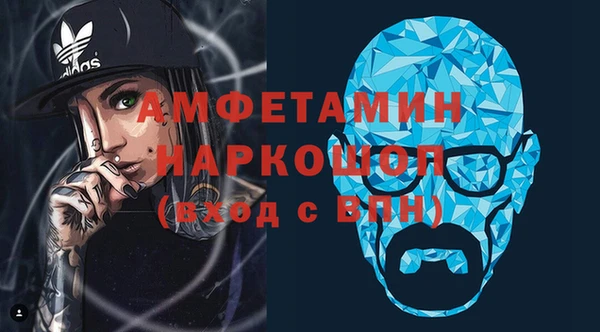 индика Алексин