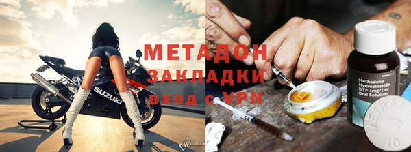 индика Алексин